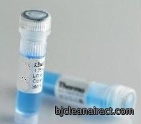 异嗜性抗体阻断剂