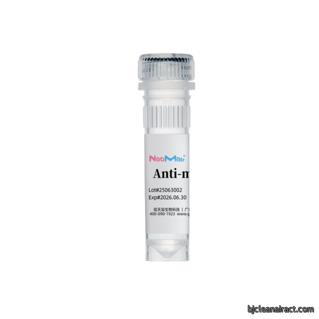 RecomAb™ anti-Human CD16 mAb [Clone 3G8]