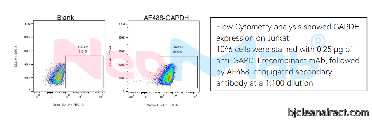  Jurkat 细胞：10⁶ cells 用 0.25 μg NM0003 染色，AF488 二抗 1:100 稀释，可见 GAPDH 胞内信号阳性峰